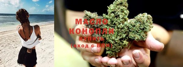 сатива Куйбышев