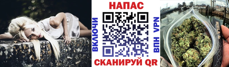 Бошки марихуана индика  Купить  Котельниково 